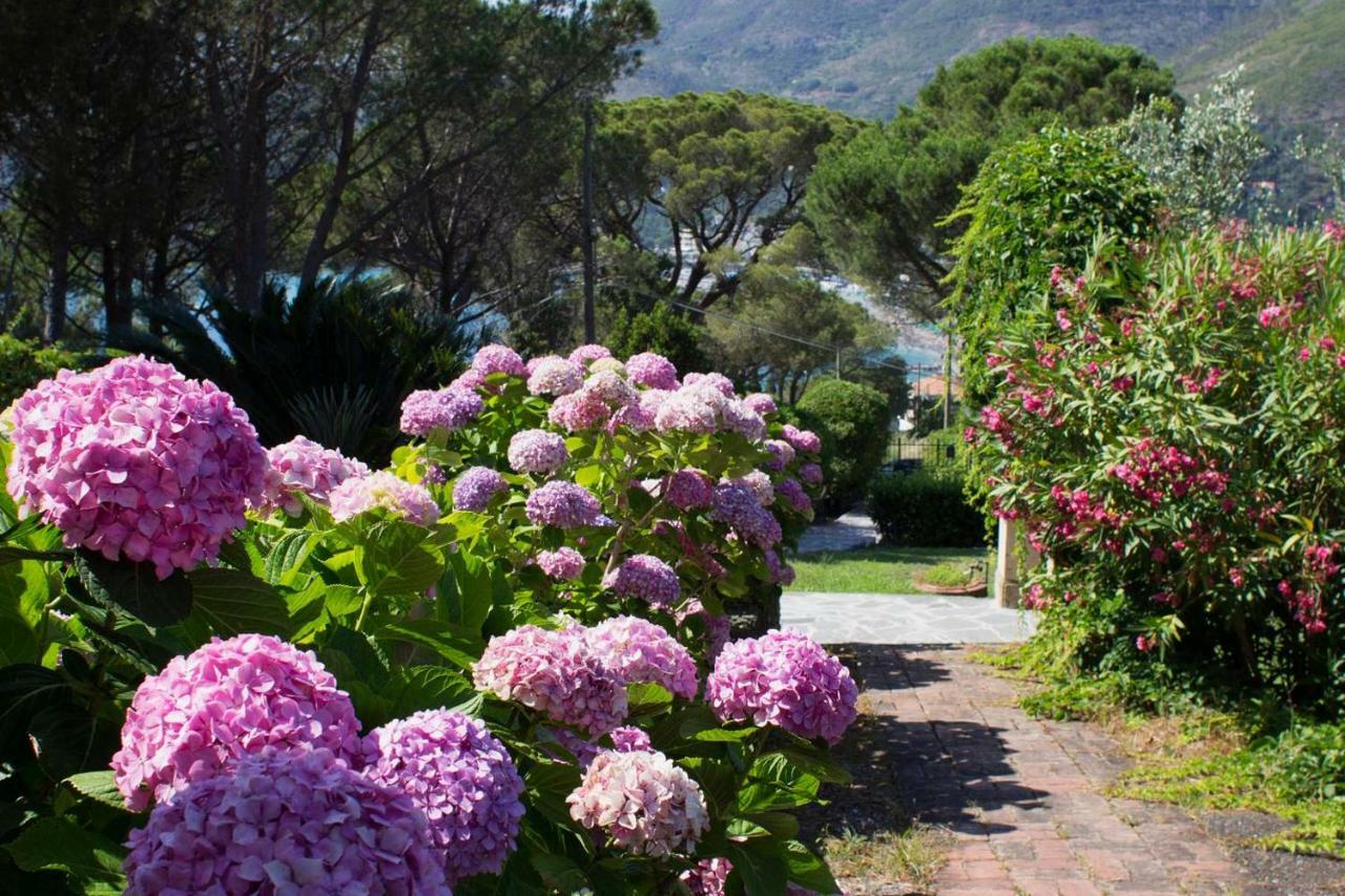 Villa Mesco Levanto Extérieur photo